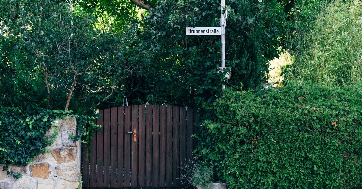 Pflegeleichte Hecke richtig auswählen: Die besten Tipps für einen schönen Sichtschutz mit wenig Aufwand