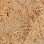 Holzfaserdämmung: Vorteile, Nachteile und wichtige Tipps für die richtige Entscheidung