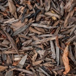 Laub als Mulch verwenden: So wird Herbstlaub zum natürlichen Schutz für Ihren Garten