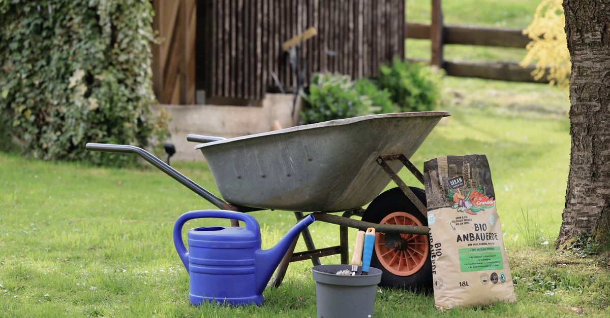 Gartenboden richtig beurteilen: So schaffen Sie die perfekte Grundlage für üppiges Pflanzenwachstum