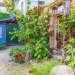 Grüne Wohlfühloasen gestalten: Mit Pflanzen zauberhafte Gartenräume schaffen