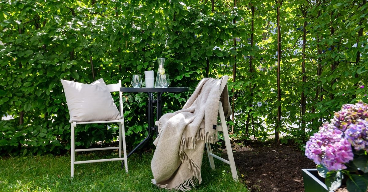 Windschutz im Garten clever planen: So wird deine grüne Oase gemütlich und sturmfest